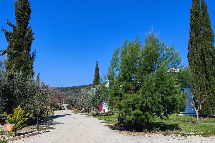 Socrates Organic Village - Wild Olive Meszolóngi Kültér fotó
