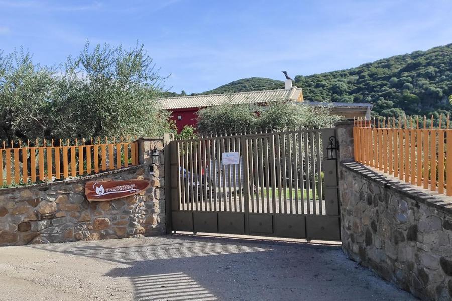 Socrates Organic Village - Wild Olive Meszolóngi Kültér fotó